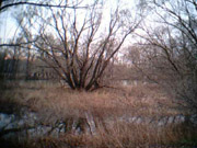 Mozaika hľadania - Hľadanie zmyslu